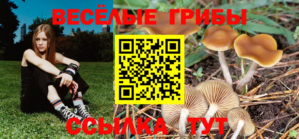 Галлюциногенные грибы Psilocybe  купить закладку  Маркс  Галлюциногенные грибы мухоморы  Вход с VPN 